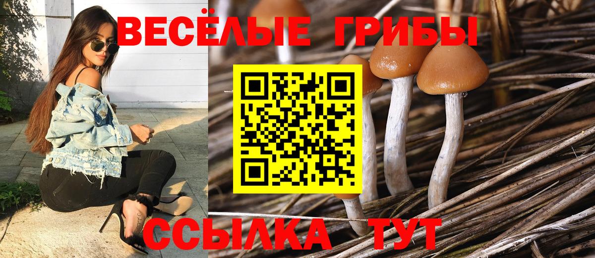 Галлюциногенные грибы прущие грибы Мариинск